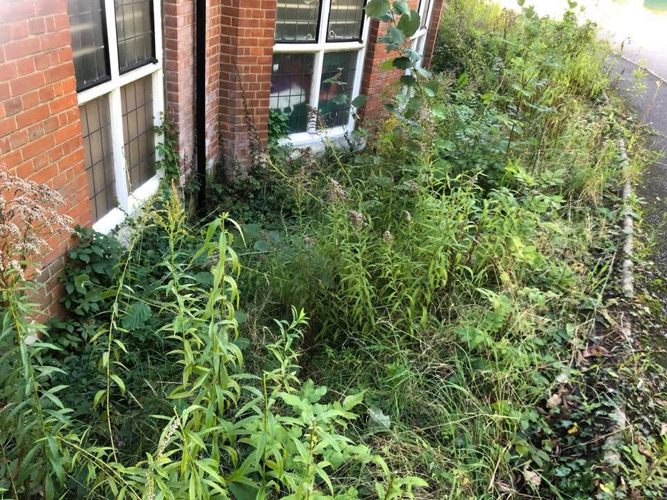 Purley In Bloom Clear Up